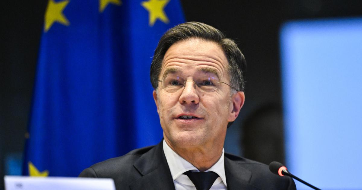 Mark Rutte: