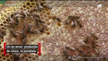 Producția de miere