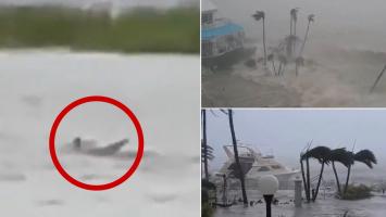 Este real sau nu clipul cu rechinul filmat pe o stradă din Florida în timpul uraganului Ian. Ce spun experţii