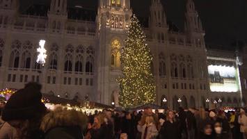 Târgul de Crăciun din Viena 2022. Bradul înalt de 28 de metri a adus bucurie pe chipurile turiştilor