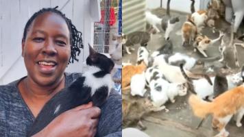 Cum a ajuns o femeie din Kenya să își împartă locuinţa cu 600 de pisici. "Eu locuiesc într-un colţ"