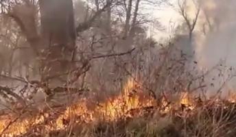 34 de incendii de vegetație în Delta Dunării, în doar 3 luni. Pompierii trag un semnal de alarmă și îi roagă pe oameni să fie mai responsabili