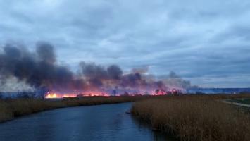 12 hectare au fost pârjolite de flăcări, după ce vântul puternic a întețit un incendiu de vegetație, lângă Galaţi