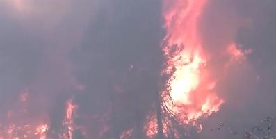 Incendiu masiv de vegetaţie în Spania. 1.000 de persoane evacuate, peste 400 de de pompieri şi militari luptă cu flăcările