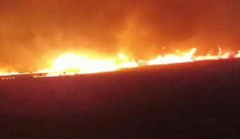 Incendiu uriaş de vegetaţie în Tulcea: 15 hectare au fost mistuite de flăcări