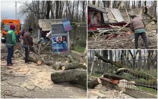 Vântul puternic a prăbușit un copac peste o stație de tramvai din Iași. Speriați, oamenii au fugit să se adăpostească