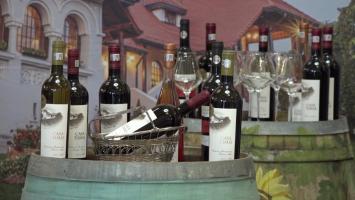 Festivalul vinurilor de calitate, la Ploieşti: 22 de crame şi-au prezentat producţiile. Petre Daea: "E o platformă de promovare pentru ţară"