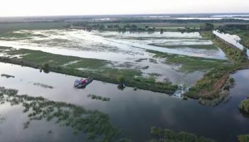 Alertă în Tulcea, după ce un dig s-a rupt, iar zeci de hectare de teren agricol au fost inundate