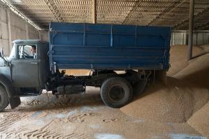 Fermierii români au obţinut ce şi-au dorit: cerealele ucrainene nu vor ajunge pe piaţă încă 30 de zile
