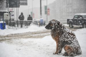 Cum va fi vremea în iarna 2023-2024 în România. El Nino aduce ninsori consistente, iar primii fulgi de nea apar în octombrie pe creste