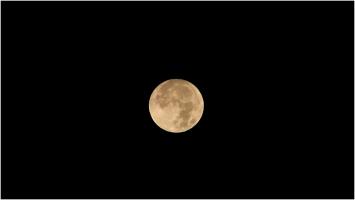 "Luna recoltei", vedetă pe cer. A strălucit mai puternic ca de obicei și s-a văzut cu până la 13% mai mare. De unde vine denumirea