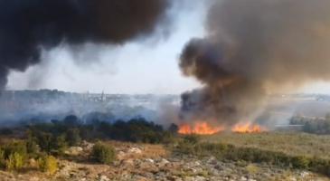 Incendiu puternic pe un câmp de lângă Capitală. Flăcările au amenințat o magistrală de gaz și au oprit circulația trenurilor