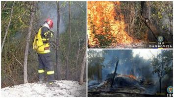 Incendiu violent în Dâmboviţa. Pompierii s-au luptat cu flăcările care au distrus aproape 2 hectare de vegetaţie uscată