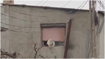 "Am auzit o bufnitură". Explozie puternică într-o casă din Buzău. 5 persoane, printre care un copil de 7 ani, s-au ales cu arsuri grave