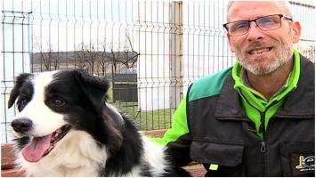 Cei mai arătoşi şi agili câini se întrec în weekend la Târgu Mureș. Câștigătorii vor participa la Competiţia Mondială din Italia