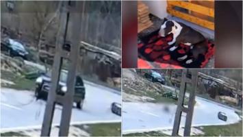 Gest barbar pe o stradă din Hunedoara. Un șofer, filmat în timp ce încearcă să omoare un câine, trecând cu mașina înainte şi înapoi peste el