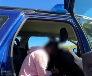 Cum a fost prins traficantul care a înjunghiat doi poliţişti într-o parcare de pe A1. Operaţiune spectaculoasă cu drone, elicoptere şi câini de urmă