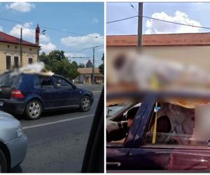 S-au plimbat cu un cadavru” pe maşină. Mai mulţi tineri artişti i-au pus pe jar pe poliţiştii din Timişoara